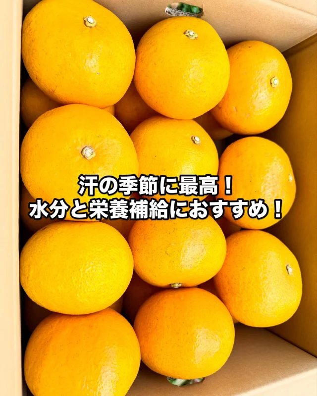 プチプチした食感と独特の食味が人気のはるみに注目です